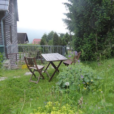 Haus Bergwiese - Fuer Naturfreunde, Familien, Wanderer Gehlberg Dış mekan fotoğraf