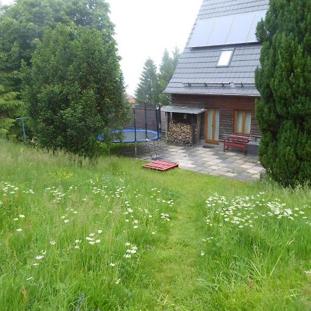 Haus Bergwiese - Fuer Naturfreunde, Familien, Wanderer Gehlberg Dış mekan fotoğraf